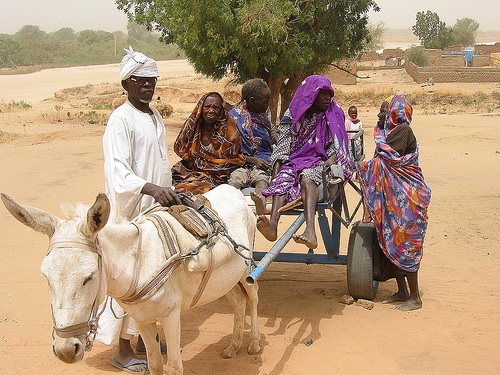 Darfur-Donkey Ambulance