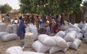 Malo Traders - Farmers under the Baobab