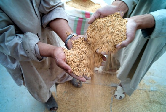 Nazar's Rice Mill in Kunduz, Afghanistan
