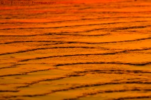 Ripples - Santa Cruz, California