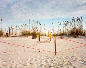 Katherine Wolkoff for NYT