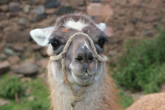 Okay, I couldn't resist.