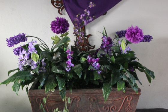 Lenten flowers