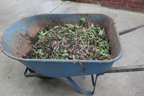 Bye-bye swamp things...